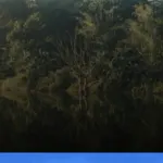 wisata alam tersembunyi di Kalimantan Timur | Turtlebin