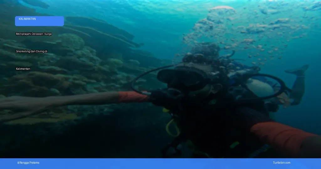 menjelajahi derawan: surga snorkeling dan diving di kalimantan | Turtlebin