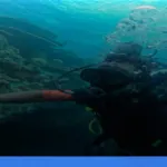 menjelajahi derawan: surga snorkeling dan diving di kalimantan | Turtlebin