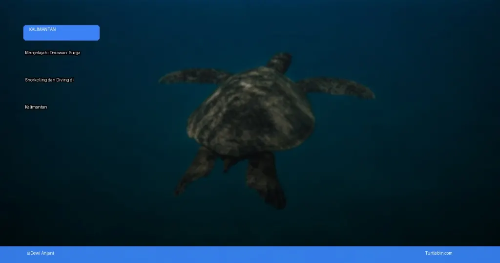Menjelajahi Derawan: surga snorkeling dan diving di Kalimantan | Turtlebin