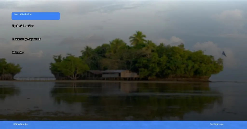 biaya liburan ke Raja Ampat untuk backpacker | Turtlebin