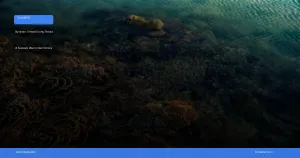 Bunaken: tempat diving terbaik di Sulawesi Utara untuk pemula | Turtlebin